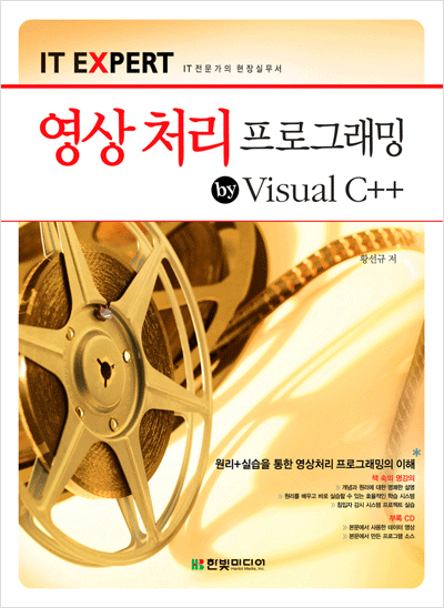 IT EXPERT, 영상 처리 프로그래밍 by Visual C++