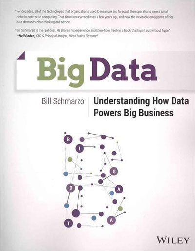 Big Data: Understanding How Data Powers Big Business (Paperback)