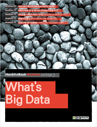 What is Big Data 세트