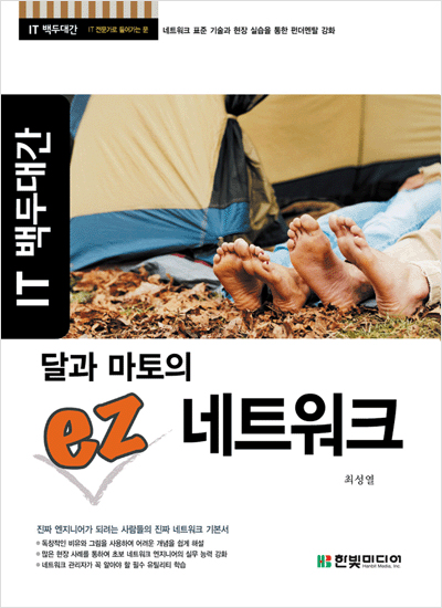 IT 백두대간, 달과 마토의 ez 네트워크