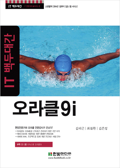 IT 백두대간, 오라클 9i