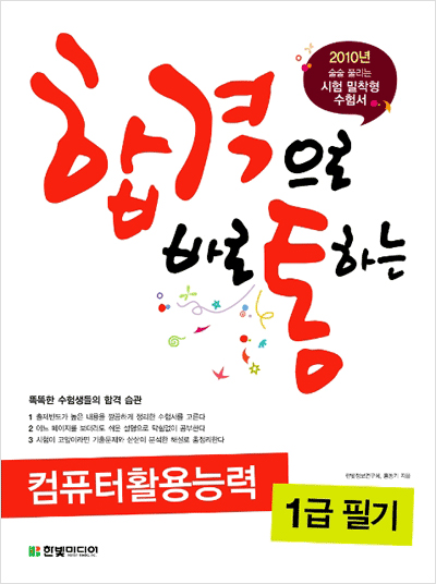 2010 합격으로 바로 통하는 컴퓨터활용능력 1급 필기