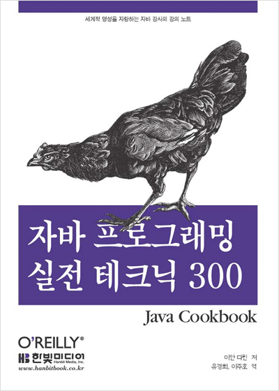 자바 프로그래밍 실전 테크닉 300