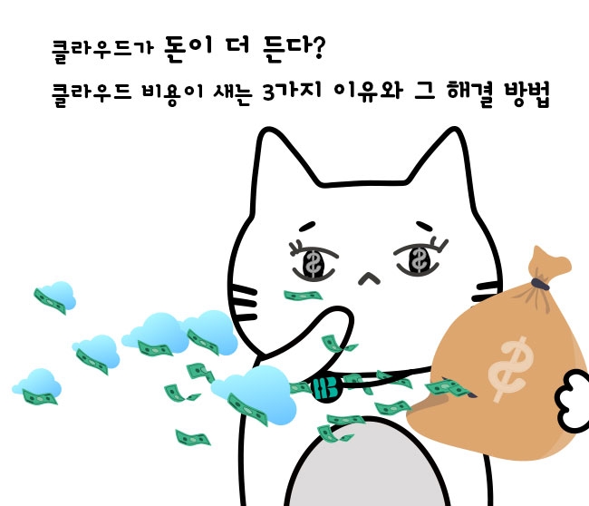 클라우드가 돈이 더 든다? 비용이 새는 3가지 이유와 그 해결 방법