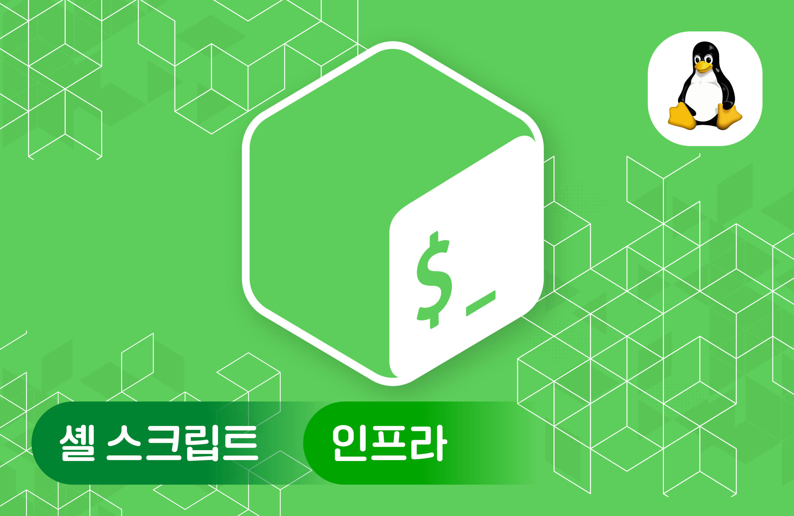 웹서버 설치로 시작하는 셸 스크립트