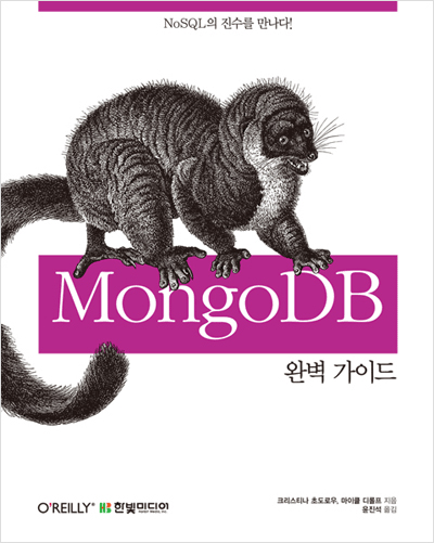 MongoDB 완벽 가이드 : NoSQL의 진수를 만나다!