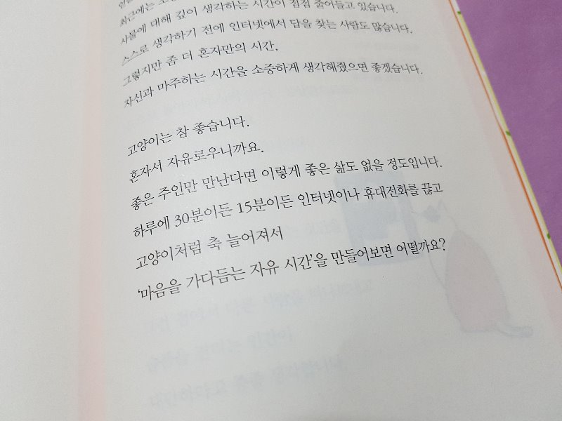 고양이부처는고민이없다냥 (5).jpg