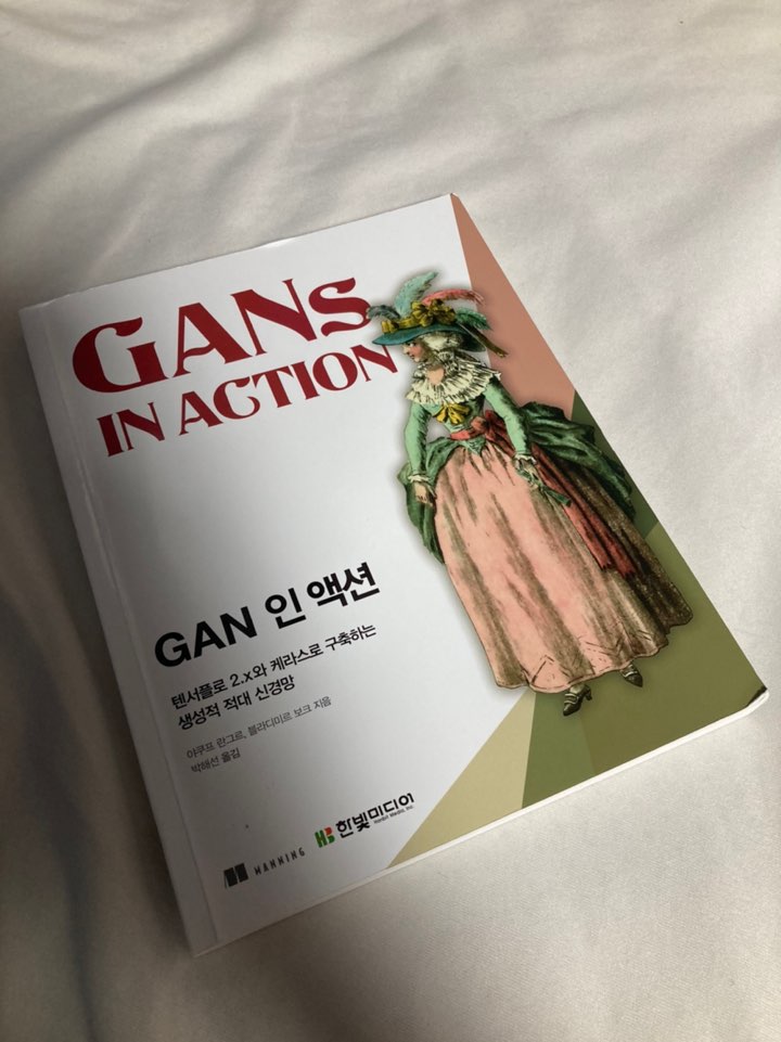 GAN 인 액션.jpg