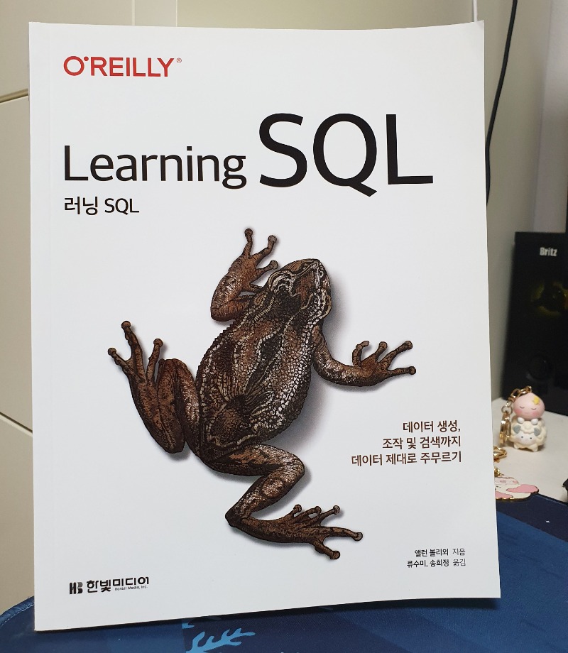 KakaoTalk_러닝SQL.jpg