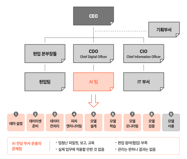 ai전담 부서 운용의 문제점.png